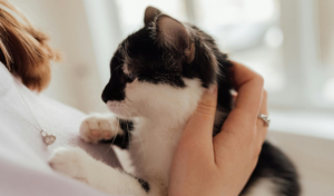 person holding a black and white cat