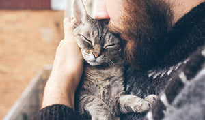 man holding a gray cat