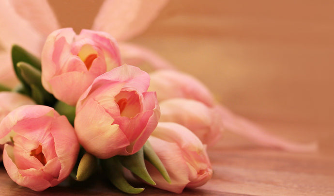 What to Say to Someone Who is Experiencing Loss