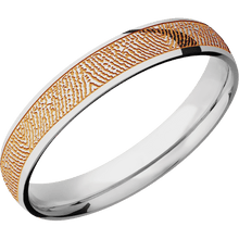 Stainless Steel + Polish Finish